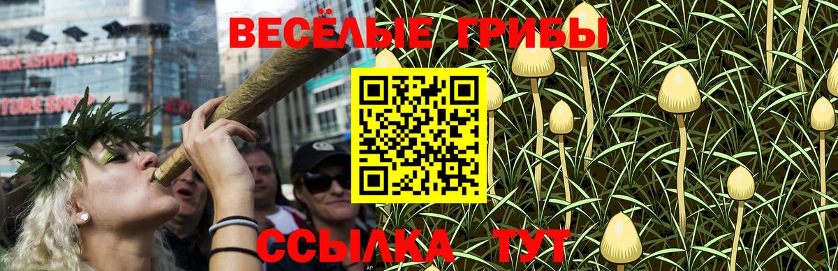 Псилоцибиновые грибы GOLDEN TEACHER  Вход с VPN  закладки  Чехов  Галлюциногенные грибы GOLDEN TEACHER 
