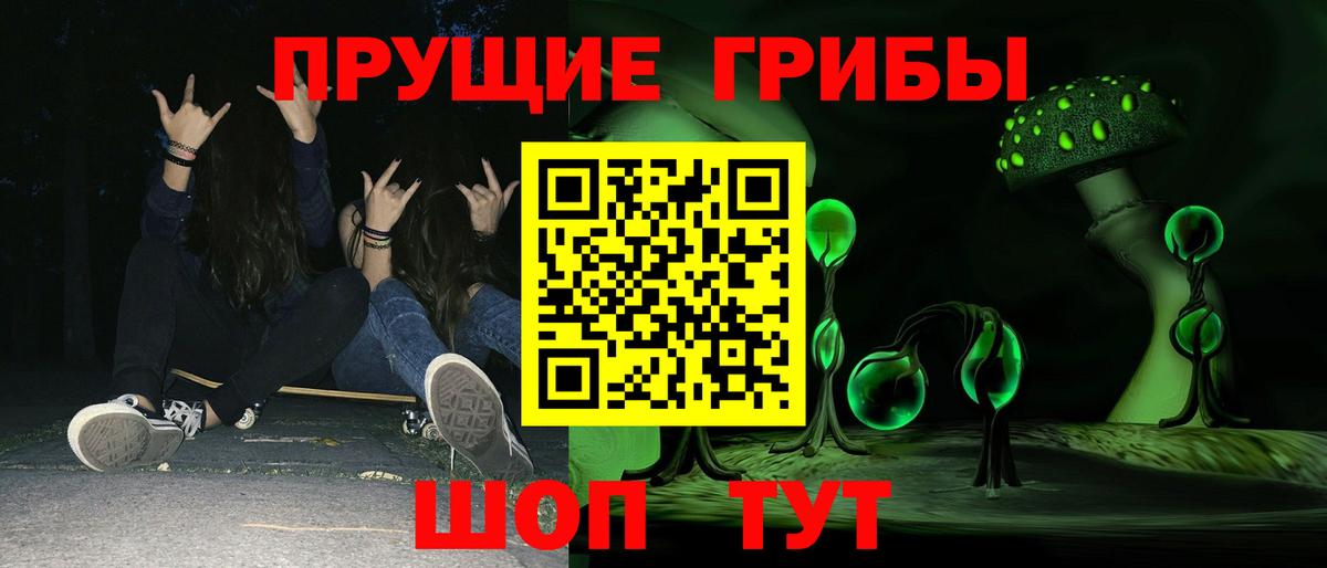 Галлюциногенные грибы Psilocybe Чехов