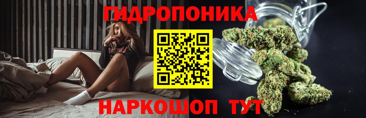 Конопля семена  Конопля гибрид  Марихуана THC 21%  Вход с VPN  Чехов 